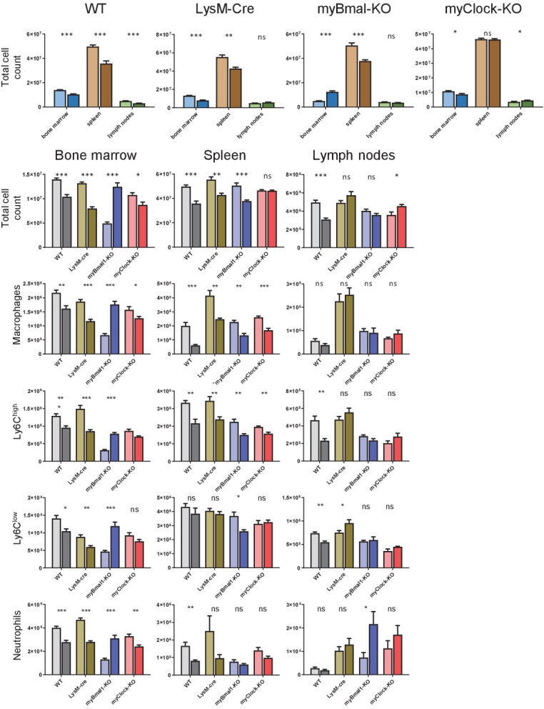 Figure 5—figure supplement 7.