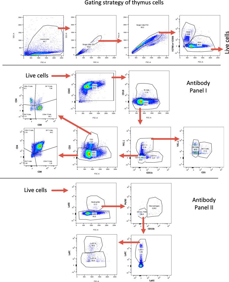 Figure 5—figure supplement 4.