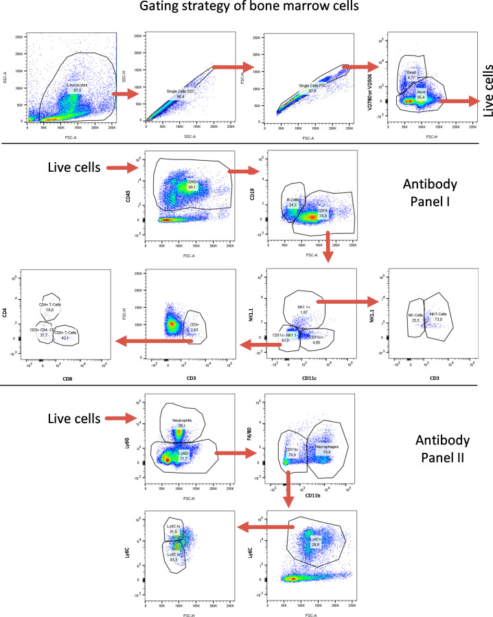 Figure 5—figure supplement 2.