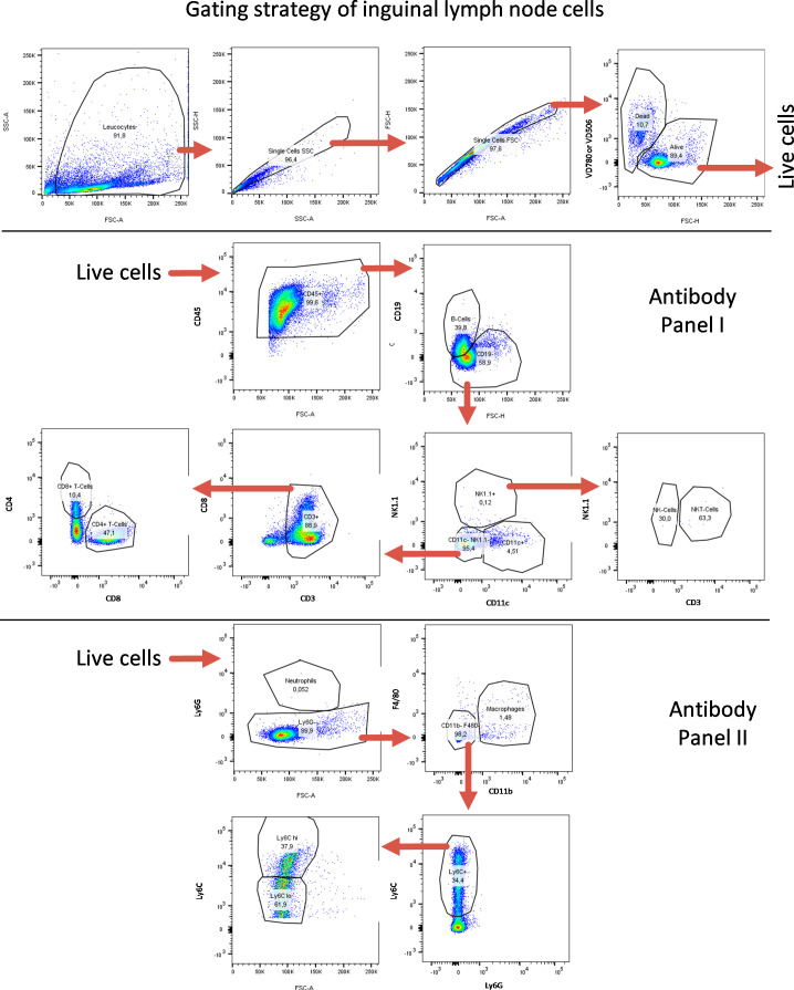 Figure 5—figure supplement 3.