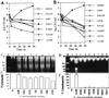 FIG. 7