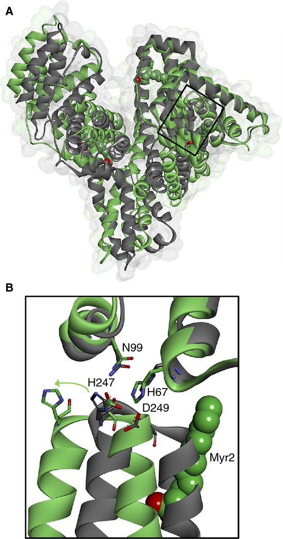 Fig 1