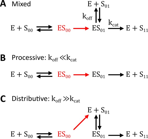 FIGURE 1: