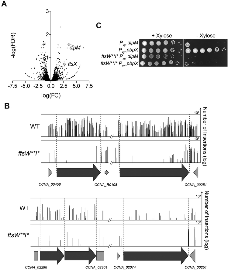 Figure 5.