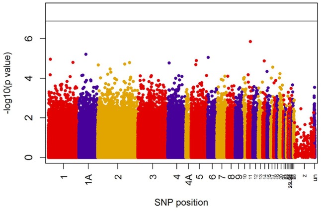 FIGURE 1