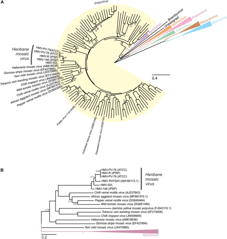 FIGURE 3