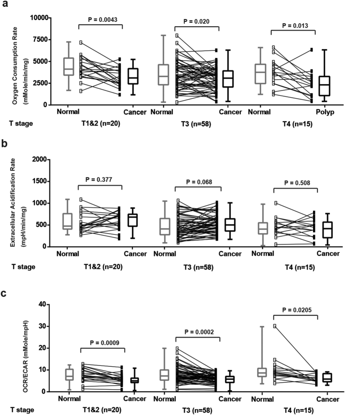 Supplementary Fig. 3