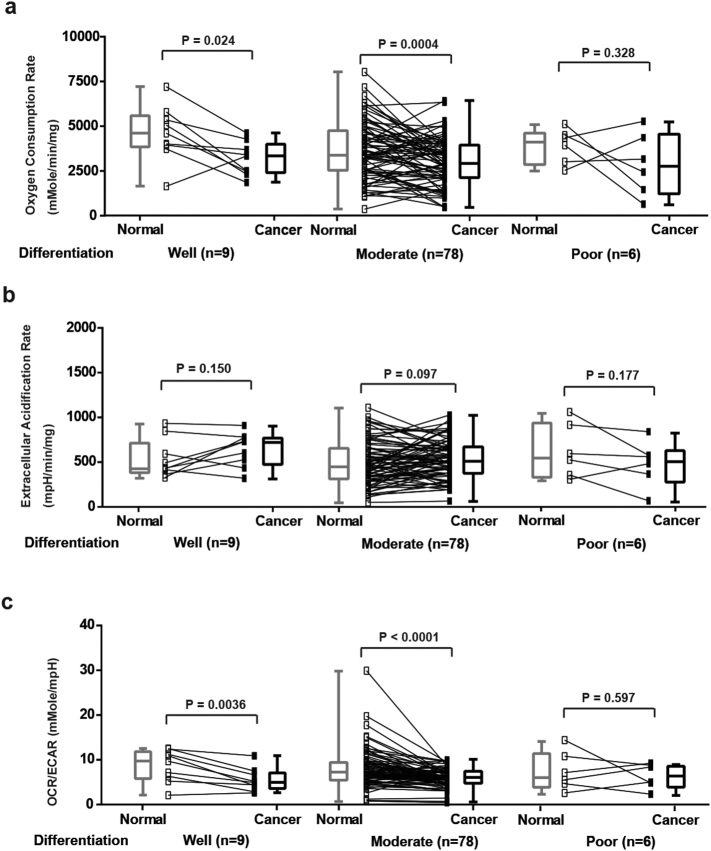 Supplementary Fig. 2