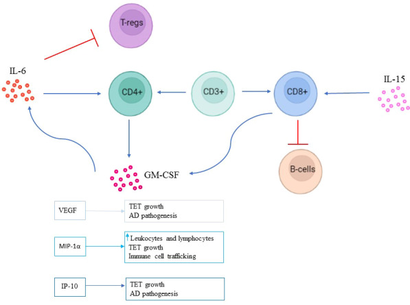 Figure 4