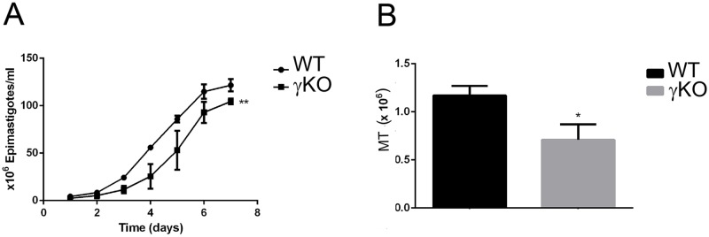 Fig 5