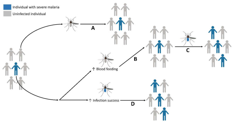 Figure 19