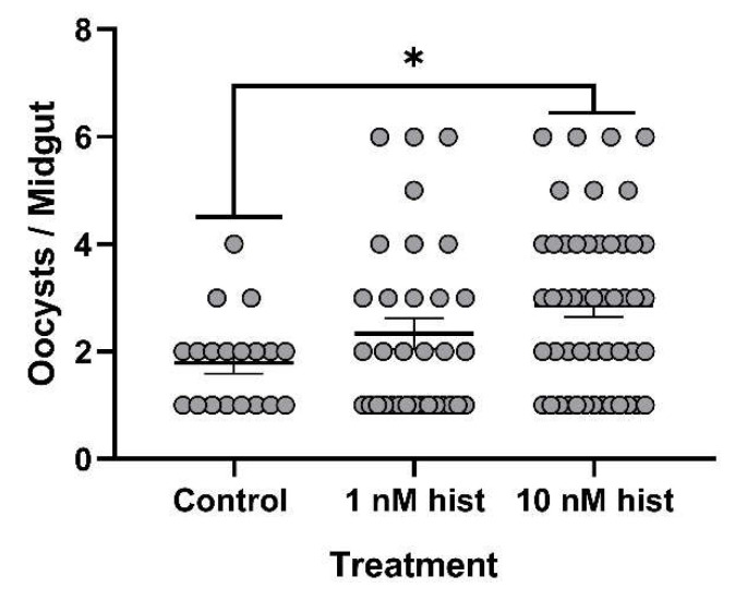 Figure 17