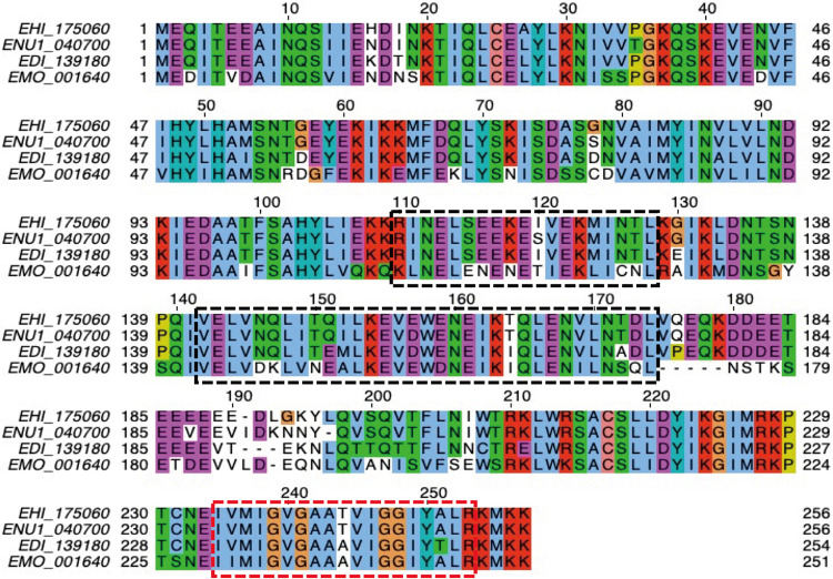 FIG 1