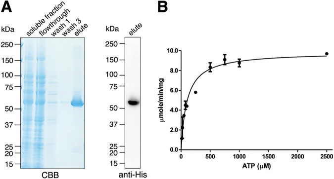 FIG 10