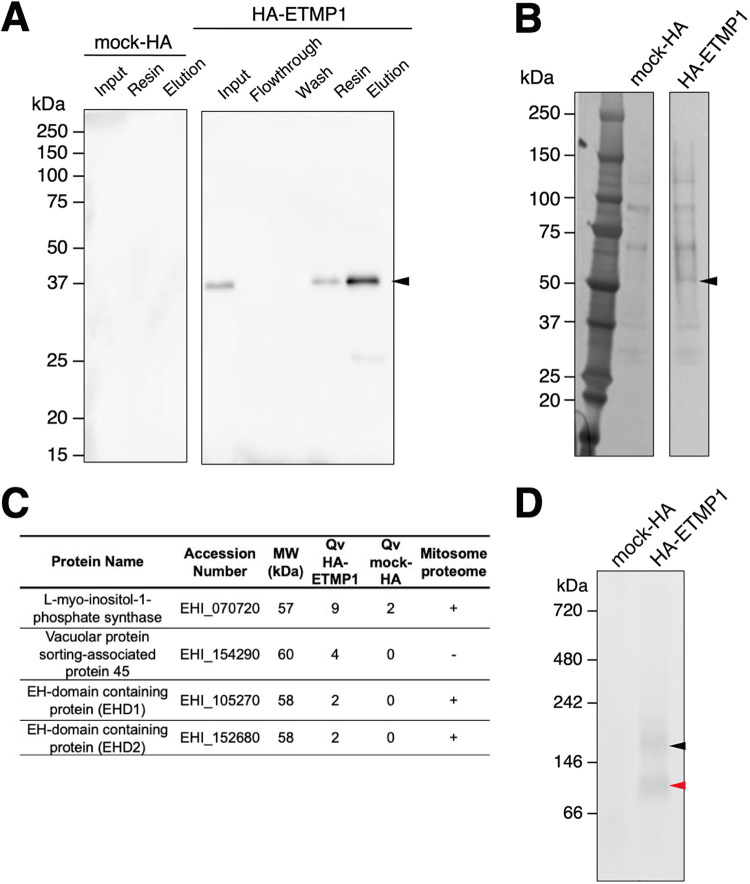 FIG 4