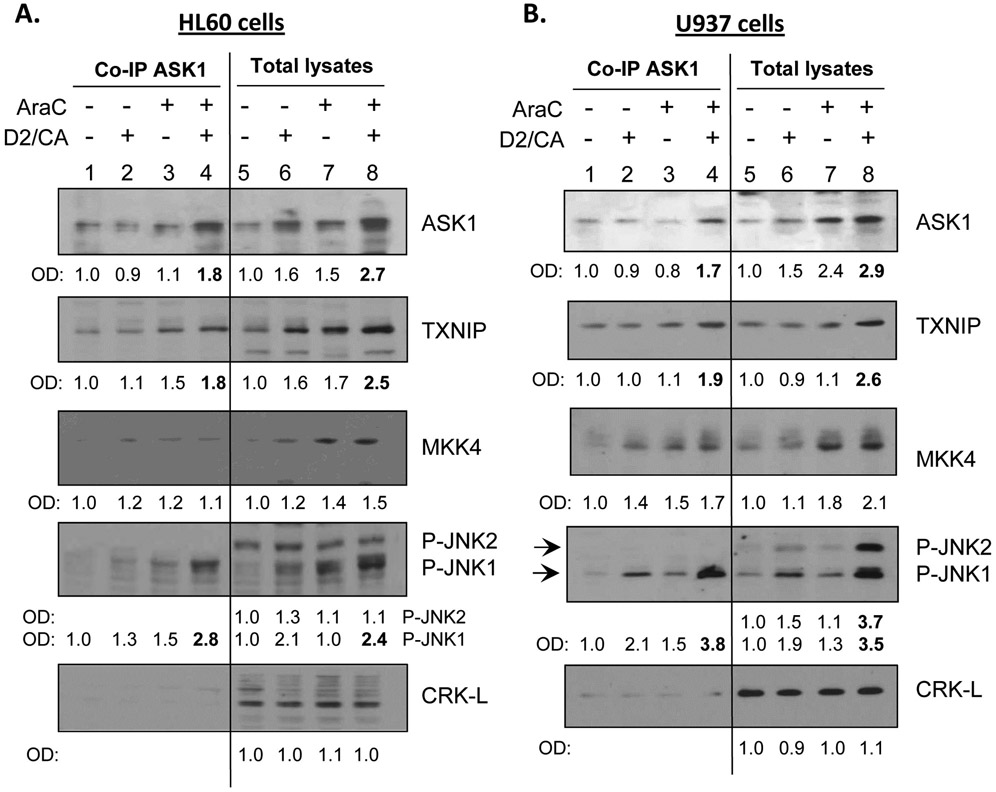 Figure 7.