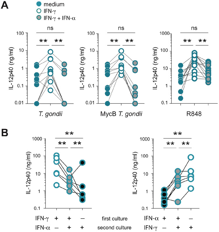 Figure 5: