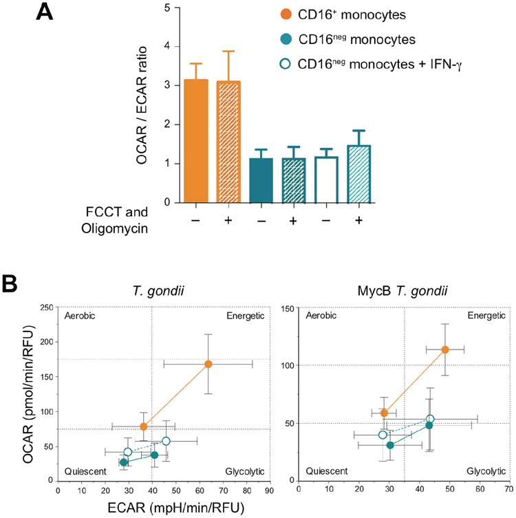 Figure 6: