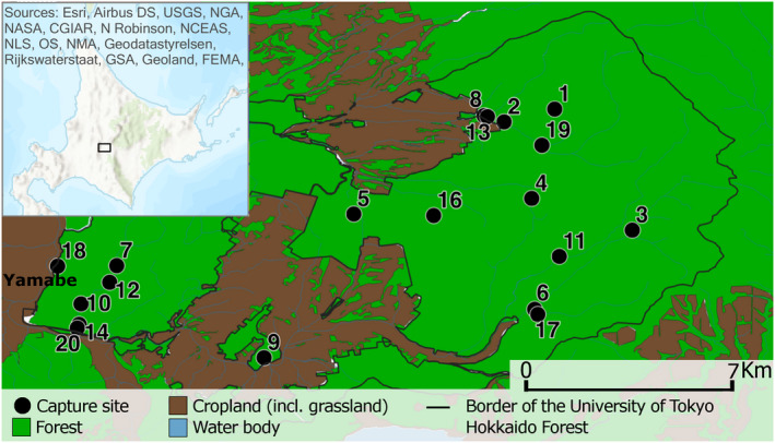 FIGURE 1