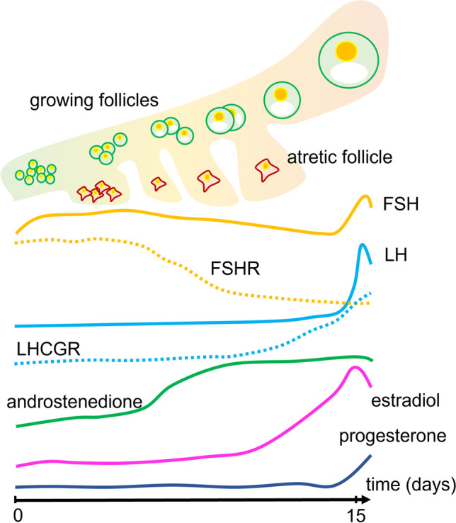 Fig. 2