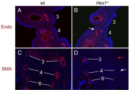 Fig. 4