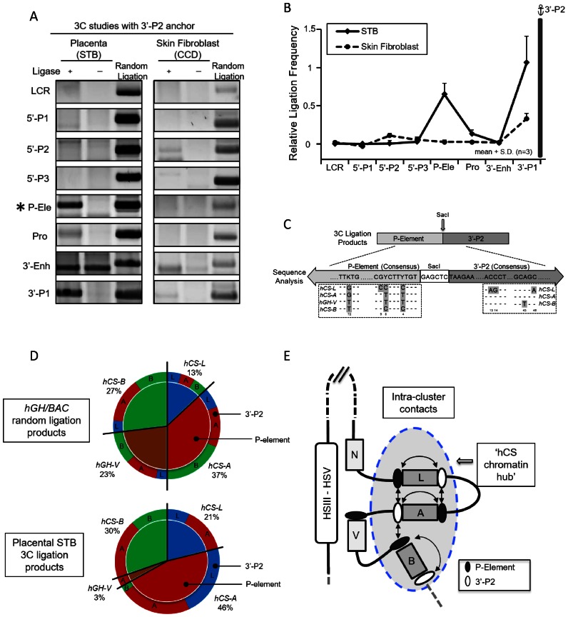 Figure 3.