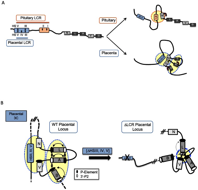 Figure 7.