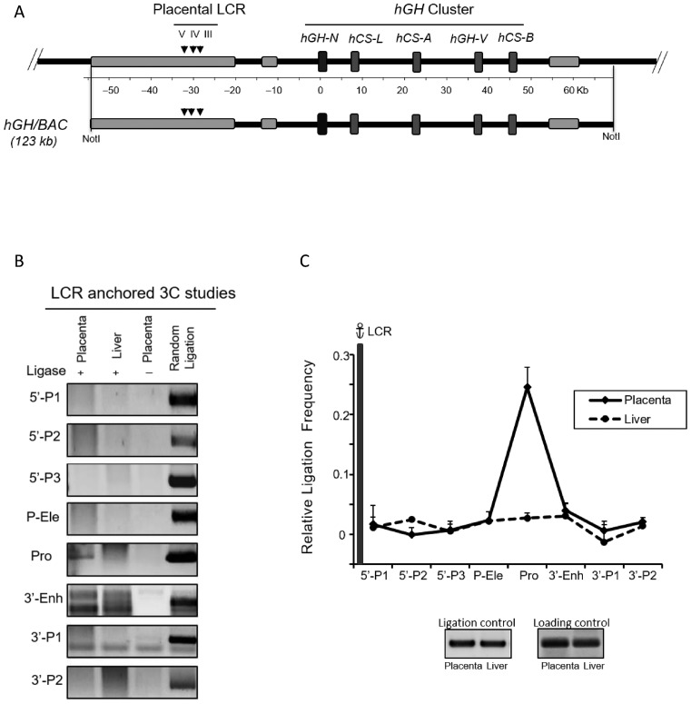 Figure 5.