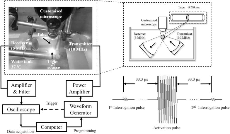 Fig. 2