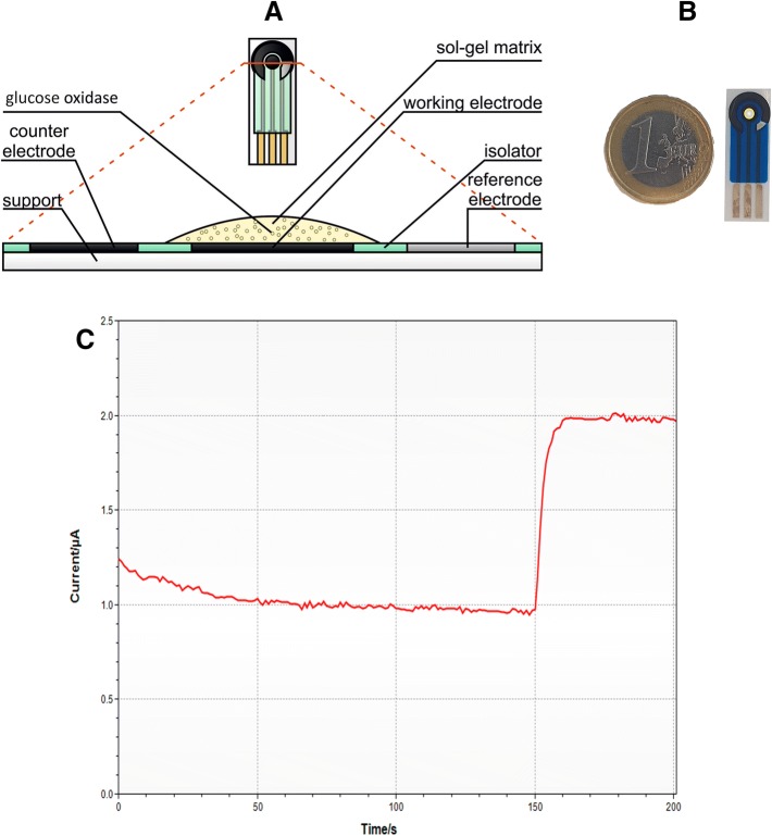 Fig. 1