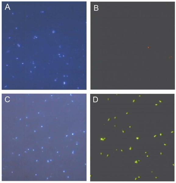 Fig.1