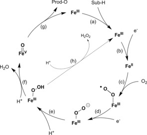 Scheme 3