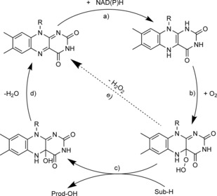 Scheme 2