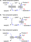 Scheme 6