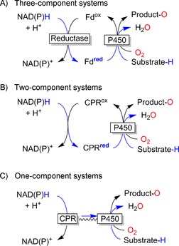 Scheme 6