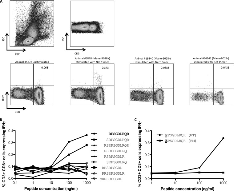 FIG 4