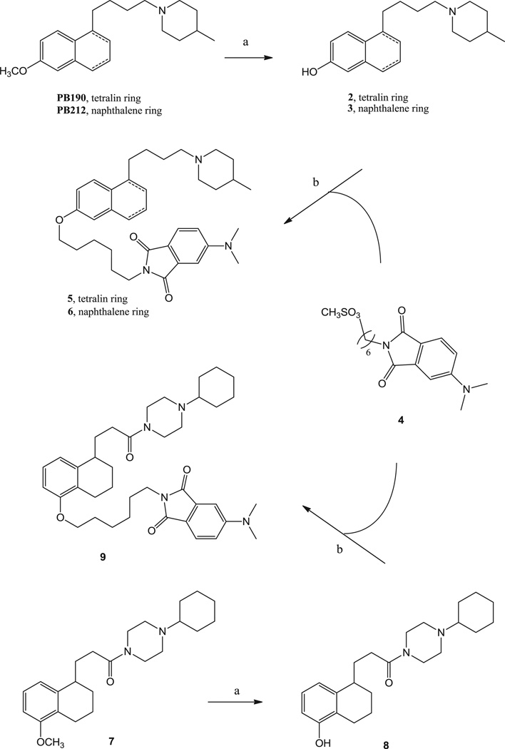 Scheme 1