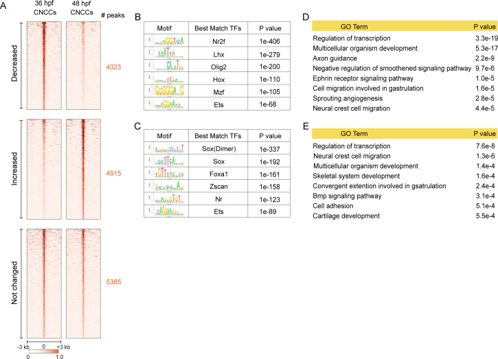 Figure 2—figure supplement 1.