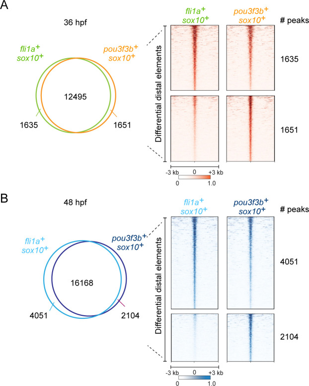 Figure 3—figure supplement 2.