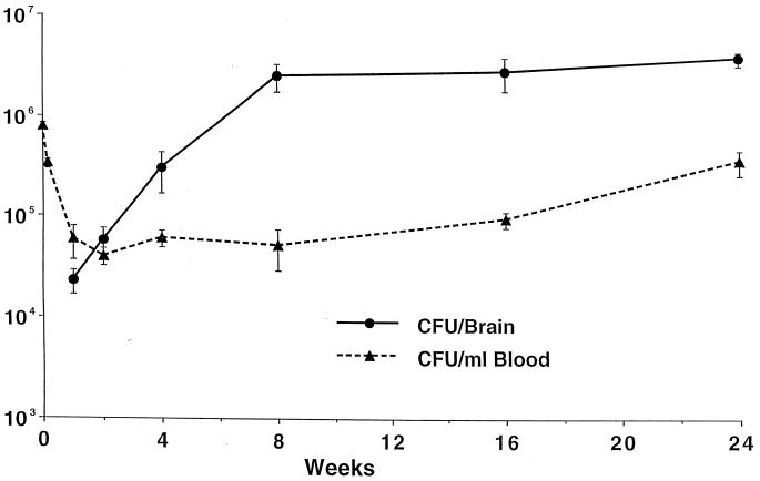 FIG. 1