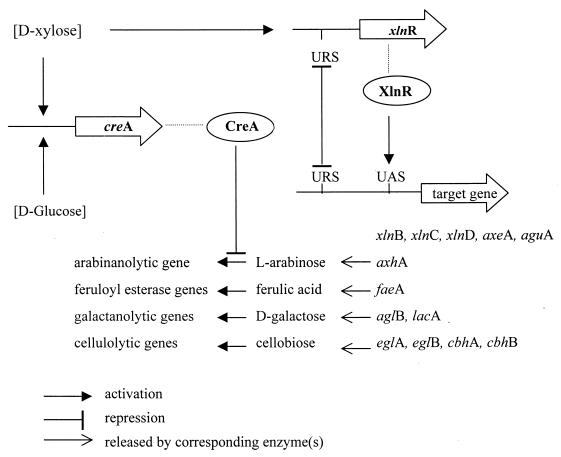 FIG. 7