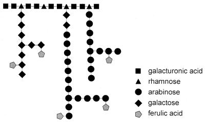 FIG. 5