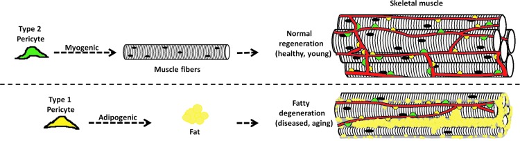 FIG. 9.