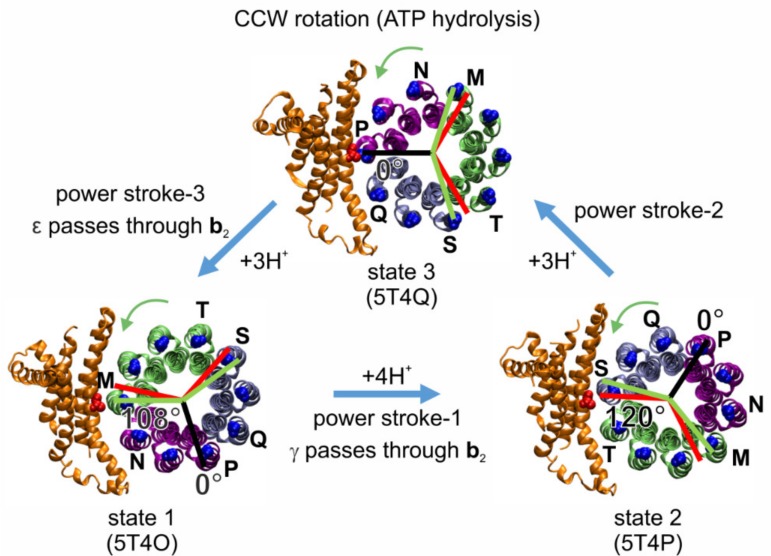 Figure 7