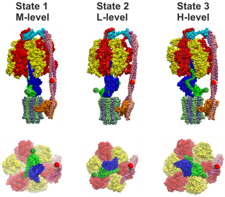 Figure 6