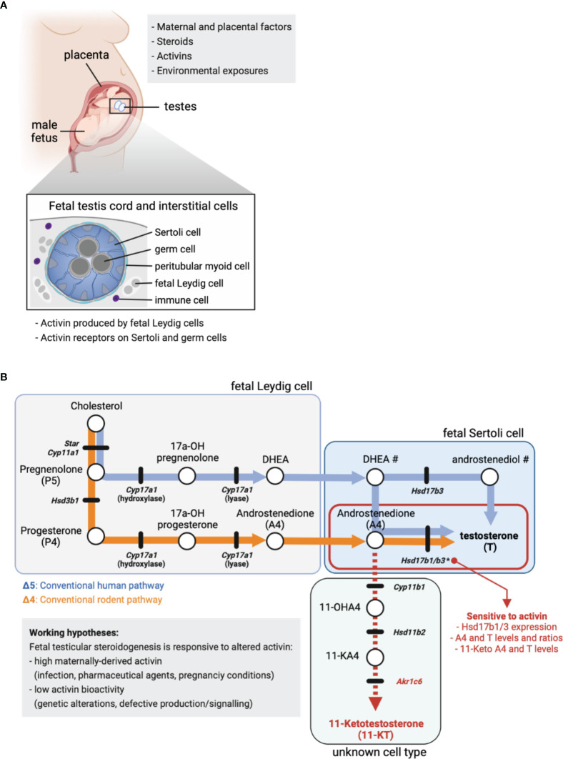 Figure 1