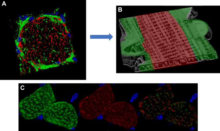 FIGURE 6.