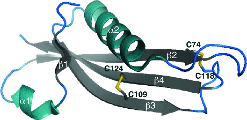 FIG. 5.