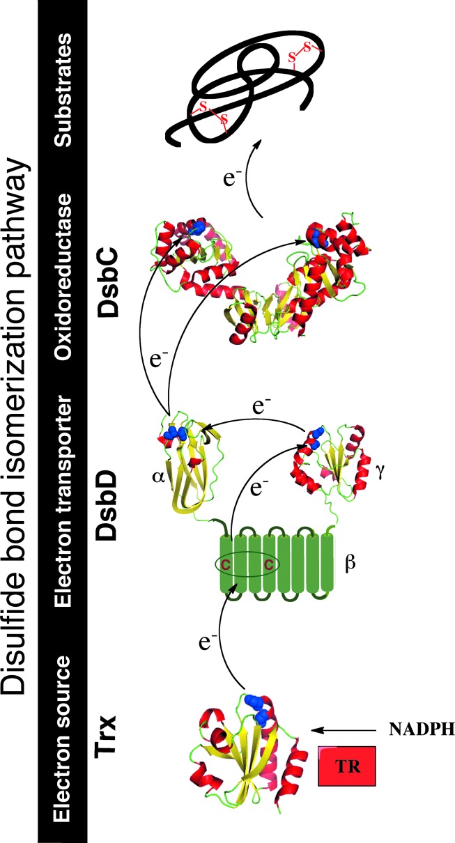 FIG. 2.