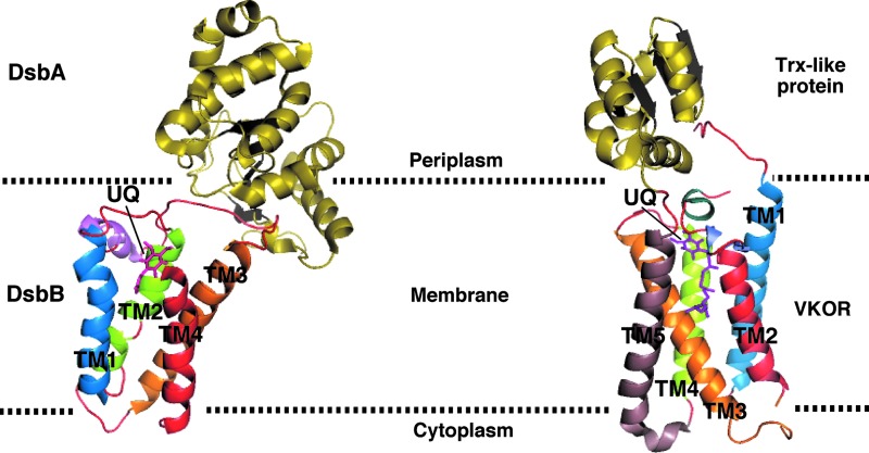 FIG. 6.